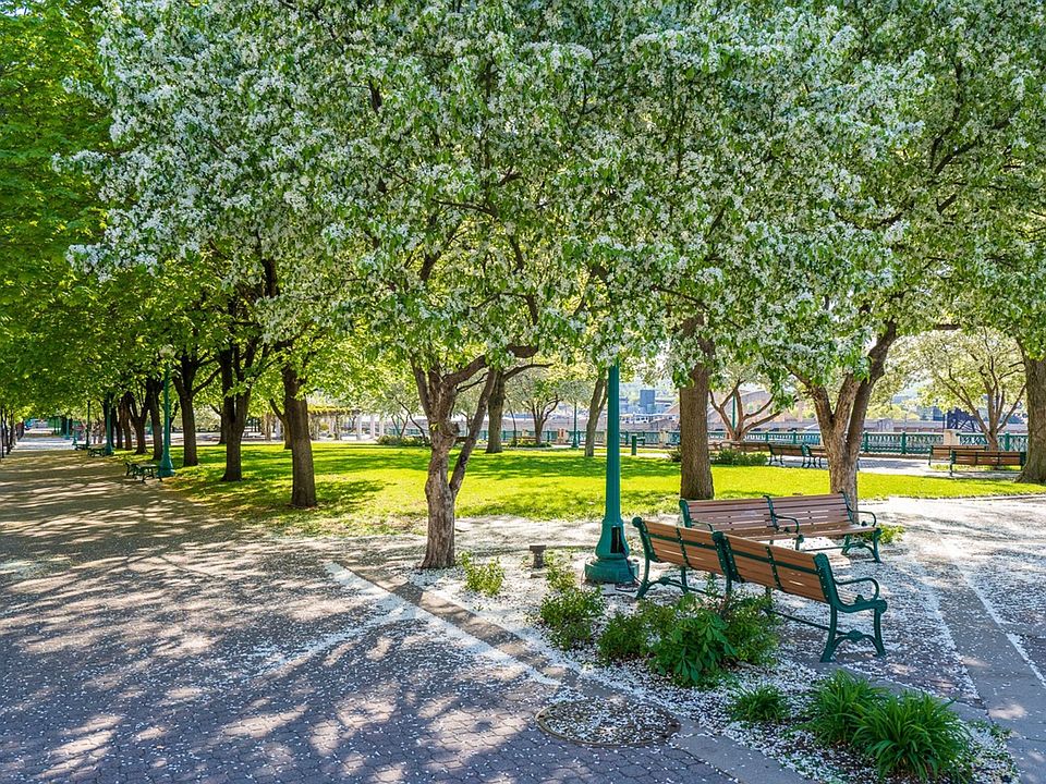 1st image of 325 Cedar St #1175