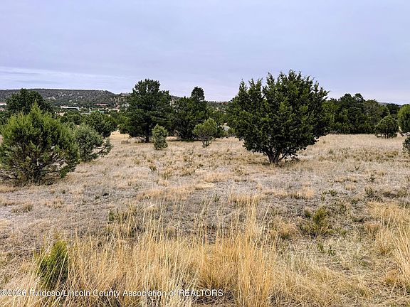 4th image of 205 Saddleback Rd