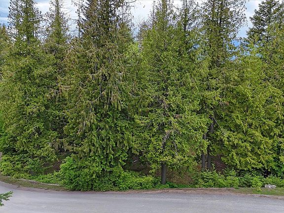 2nd image of LOT C19 Trappers Loop