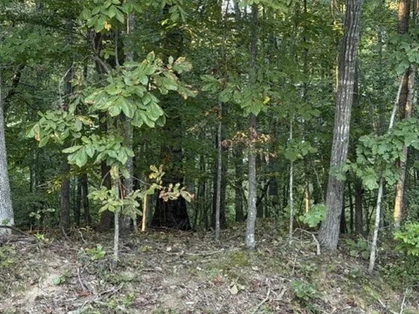 0 Woodland Way Lot 54, Estill Springs, TN 37330