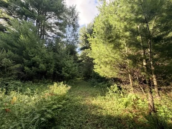0 Timreck Rd, Tawas City, MI 48763