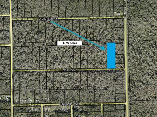 3540 APPLE AVENUE LOT 15, BUNNELL, FL 32110