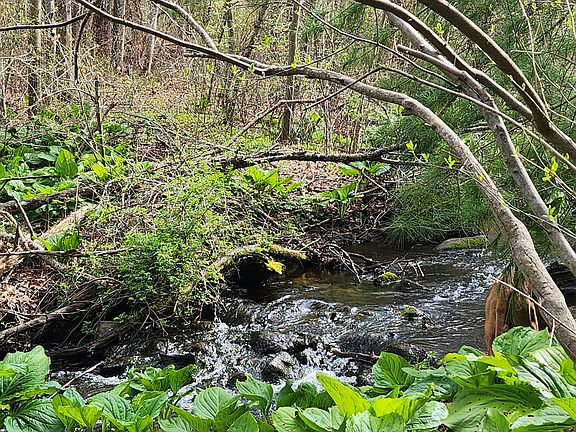 Patuxet Park, abuts property.