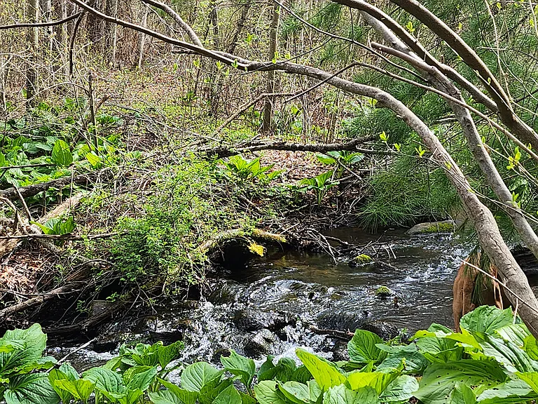 Patuxet Park, abuts property.