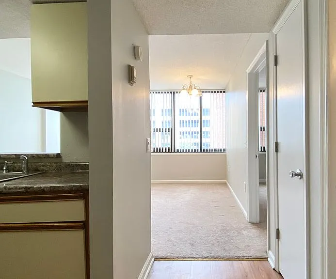1100 Wheat St #405 — Photo 9