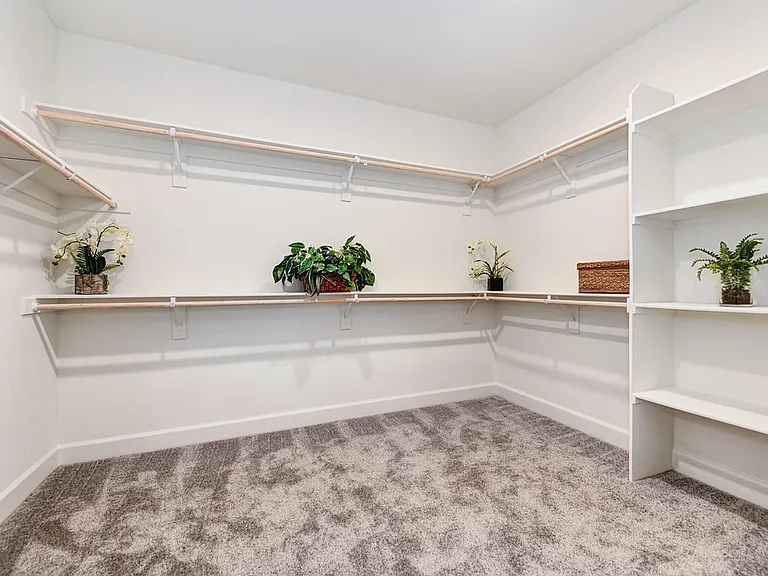 Primary bedroom walk-in closet