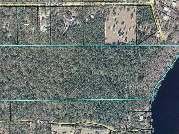  NE Hwy 349, Old Town, FL 32680