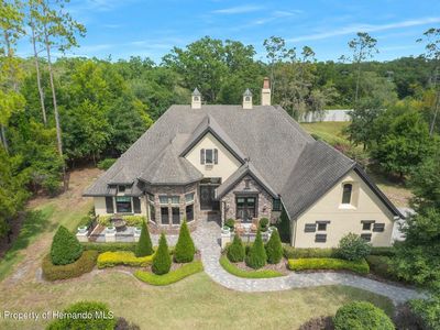 19303 Shortleaf Pine Ln, Odessa, FL, 33556