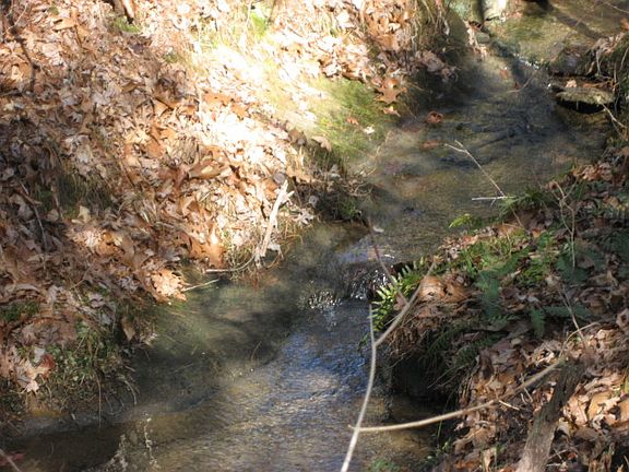 2nd image of 585 Northrup Falls Dr
