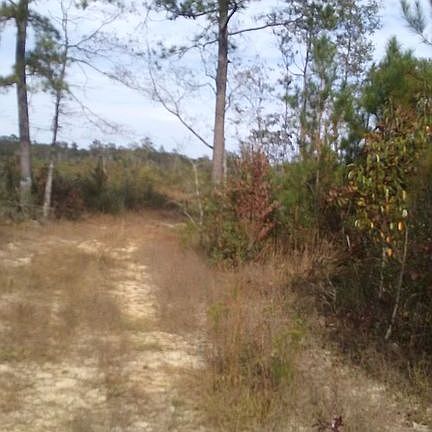 Entrance to 20 acres