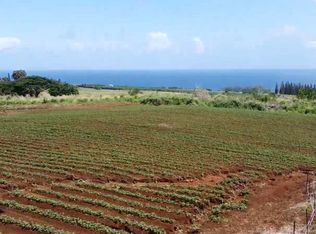 28-561 Opua LOT 8, Pepeekeo, HI 96783