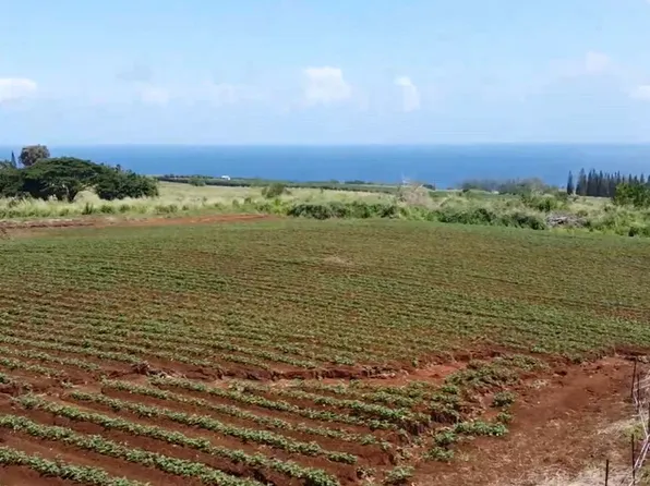 28-561 Opua Lot 8, Pepeekeo, HI 96783