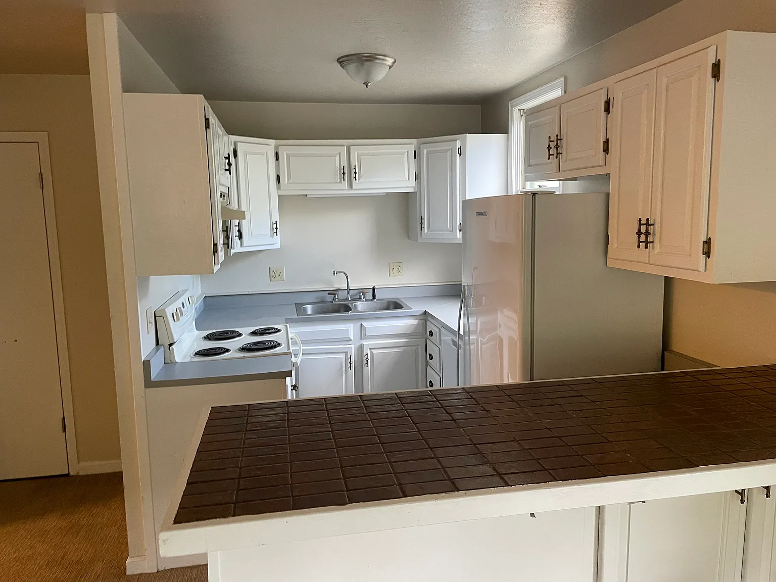 Belleview Ave, Crested Butte — Photo 1