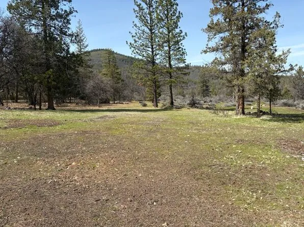 40561 Mountain View Dr, Fall River Mills, CA 96028
