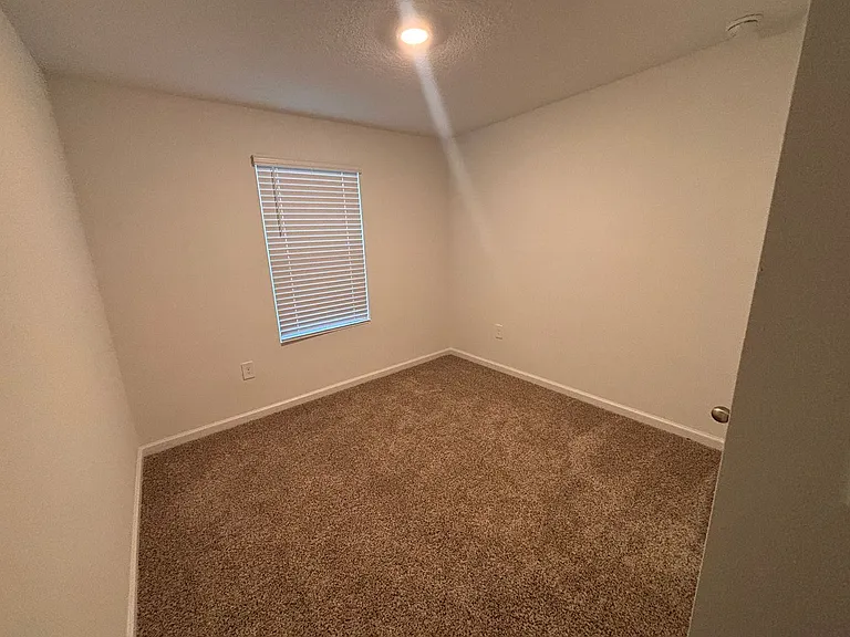 284 Palmetto Ridge Rd — Photo 25