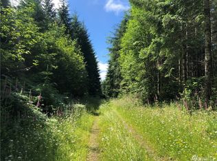 13 Wynooche Valley Rd, Montesano, WA 98563