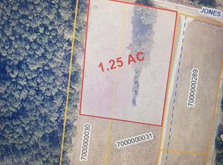 0 Jones Rd, Awendaw, SC 29429