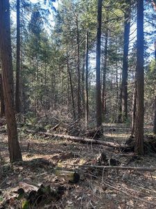 1600 Bearfoot Rd, Georgetown, CA, 95634