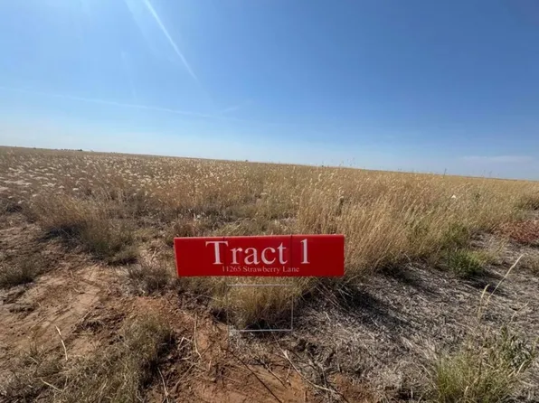 11265 Strawberry Ln, Hartley, TX 79044