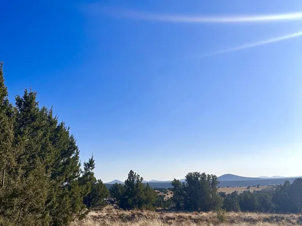 14 County Road 8249, Concho, AZ 85924