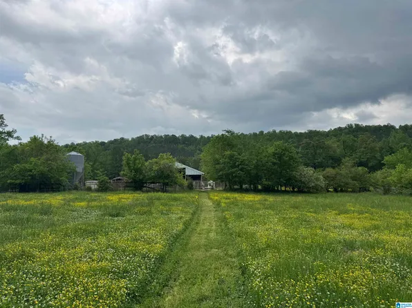 1045A Sand Valley Rd, Remlap, AL 35133