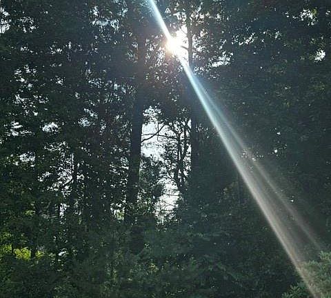 2nd image of 0 Monticello Rd