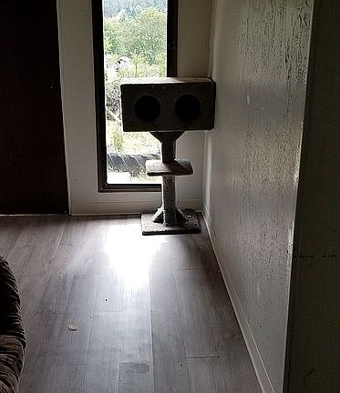 Fireplace room