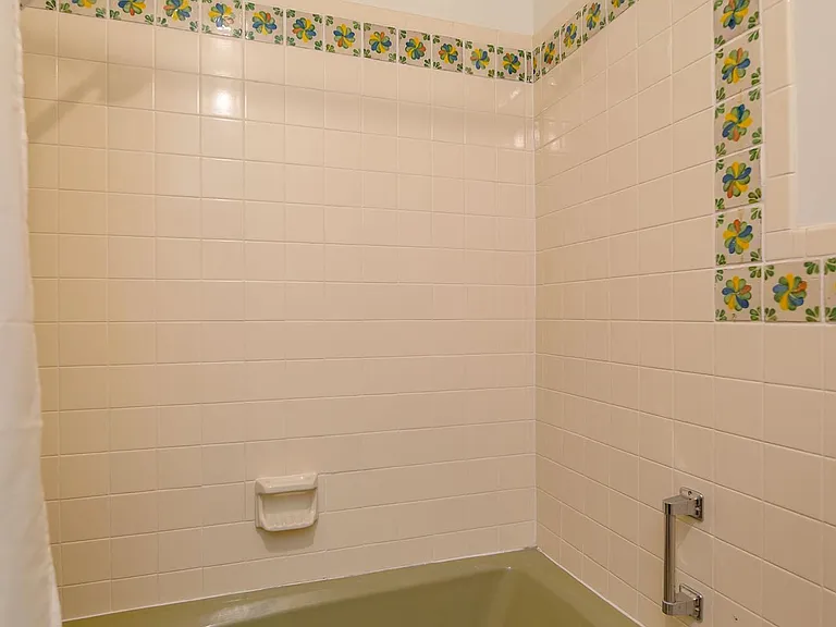 Bathroom tub with Mexican tile accents