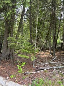 E Cana Island Rd, Baileys Harbor, WI, 54202