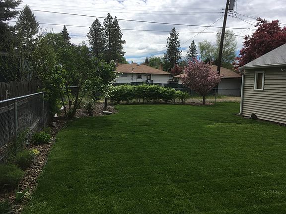 Backyard #1