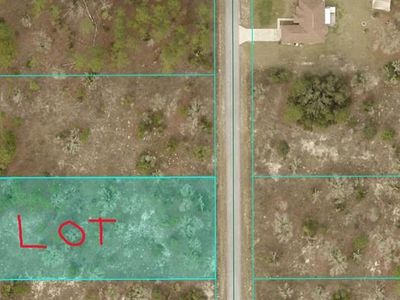 SW Carnation Ct Lot 12, Dunnellon, FL, 34431