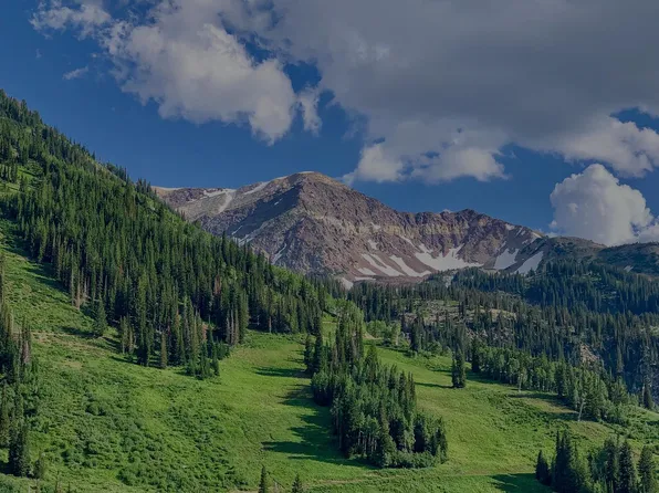 Eastgate at Greyhawk