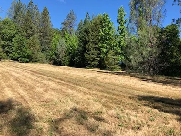 .54 ACRES Lakeview Dr, Lakehead, CA 96051