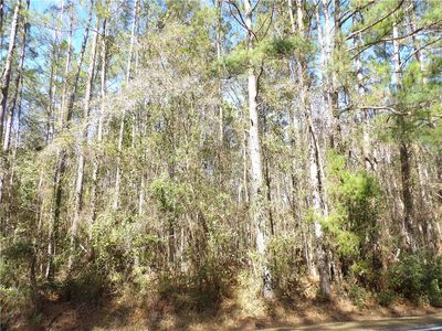 V/l Tr3 Inez Brown Est, Kingsland, GA, 31548