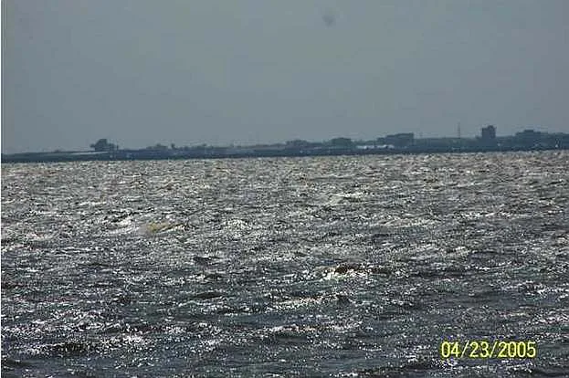 1455 Sanibel Ln — Photo 30