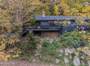 167 Pine Ln, Hunter, NY 12442