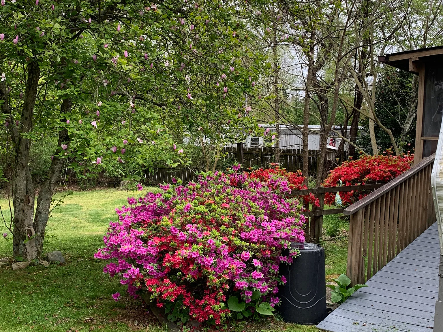 Twin Pines Dr, Flat Rock — Photo 2