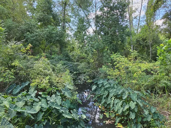 Nhn W Michigan St #W, Poplarville, MS 39470