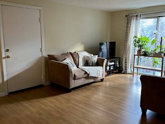 5th image of 73B Manchester St APT 3