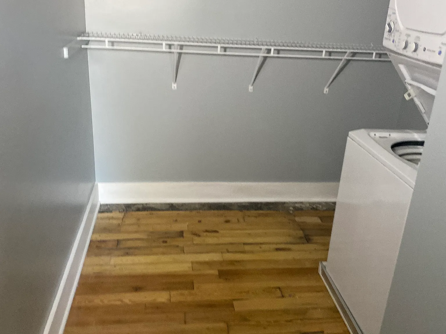 1 bed, $1,295 — Photo 4