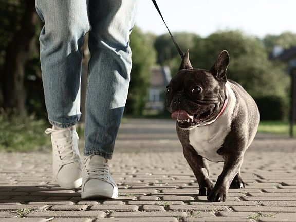 5th image of 3108 N Lockwood Ridge Rd #C02fb823f