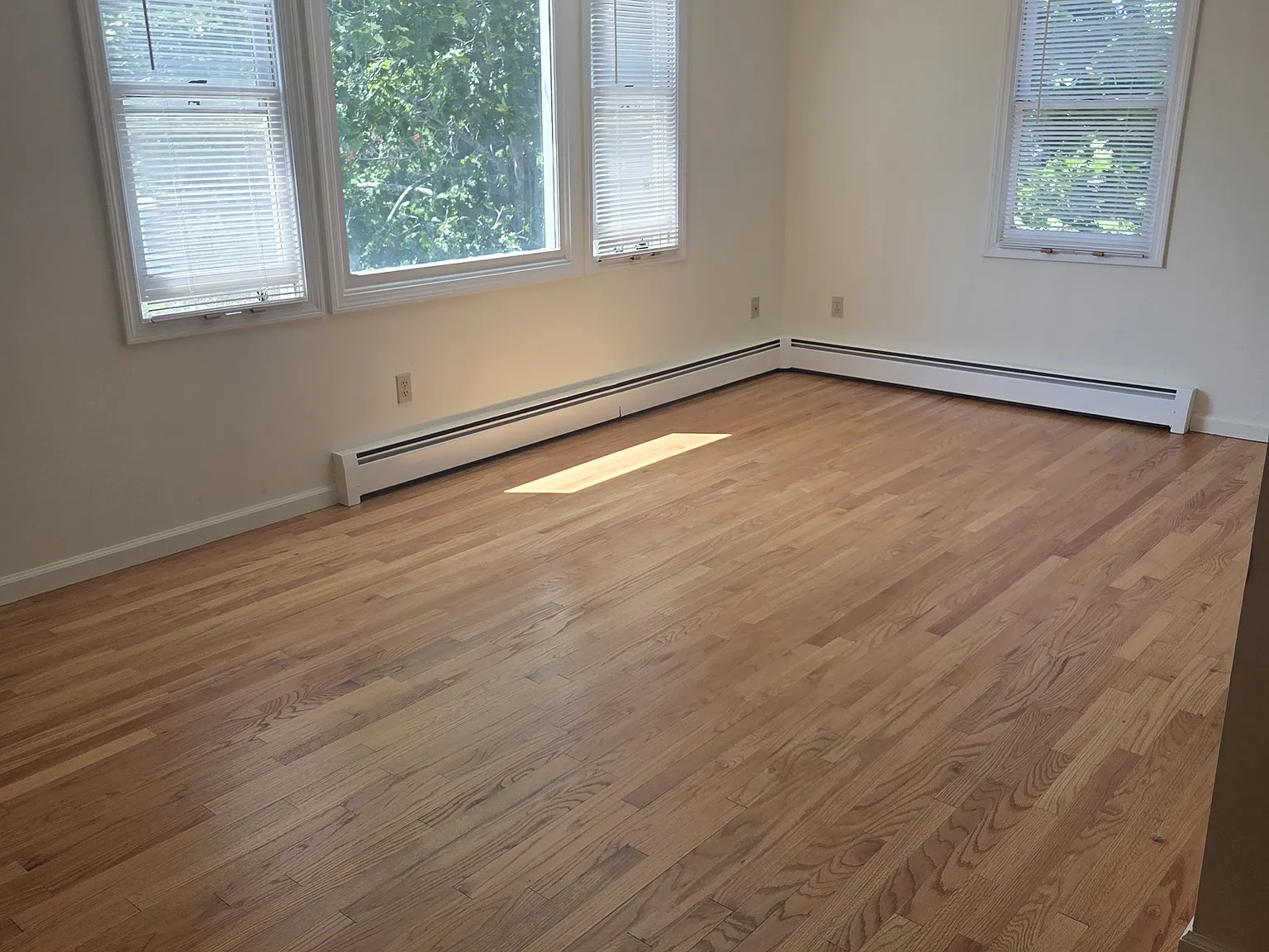 2 bed, 1100 sqft, $1,400 — Photo 3