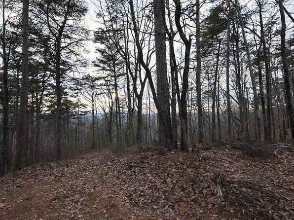 198 Log Round Mountain Rd, Ellijay, GA 30540
