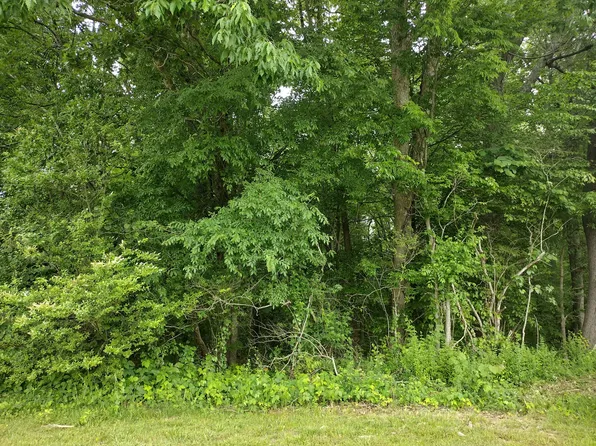0 Hickman Shores Rd, Dover, TN 37058
