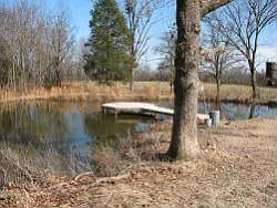 2nd image of 13601 Vaughn Rd