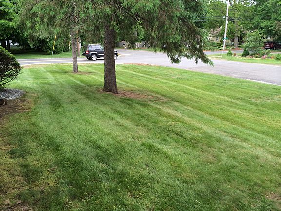 Side Yd. (Belli Dr.)