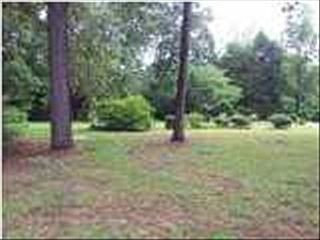 2nd image of 7440 Pinewood Dr