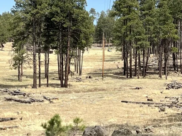 LOT Forest Rd #26, Alpine, AZ 85920