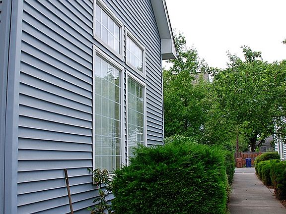 Large Windows