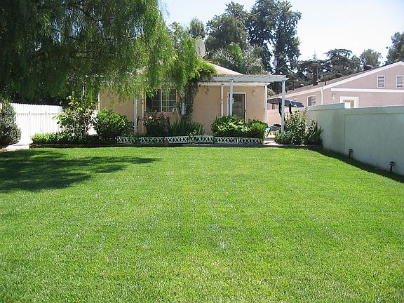 Backyard from far
